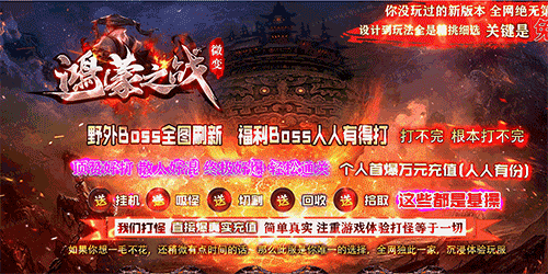 版本图片
