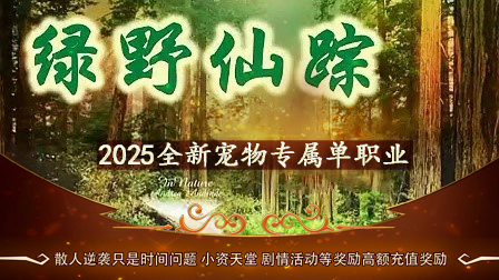 版本图片